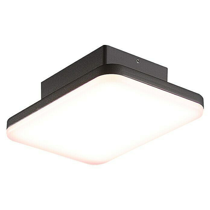 Starlux LED-Außenwandleuchte (10 W, 149 x 83 x 216 mm, Dunkelgrau, IP54) | BAUHAUS