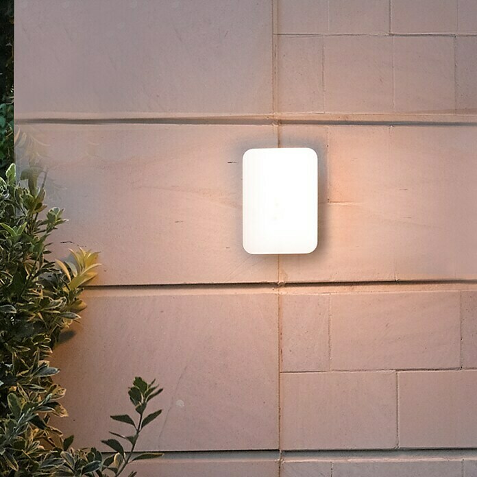 Starlux LED-Außenwandleuchte (10 W, 149 x 83 x 216 mm, Dunkelgrau, IP54) | BAUHAUS