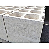 BHS Cataluña Bloque de hormigón poroso caravista (40 x 20 x 20 cm, Blanco, Hormigón) | BAUHAUS