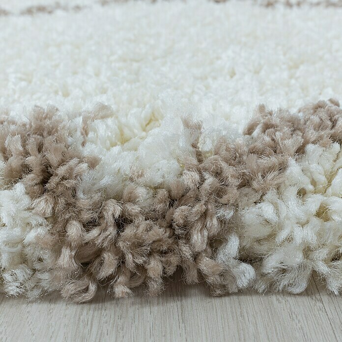 Hochflorteppich Alvor 3401 (Cream, 340 x 240 cm, 100 % Polypropylen) | BAUHAUS