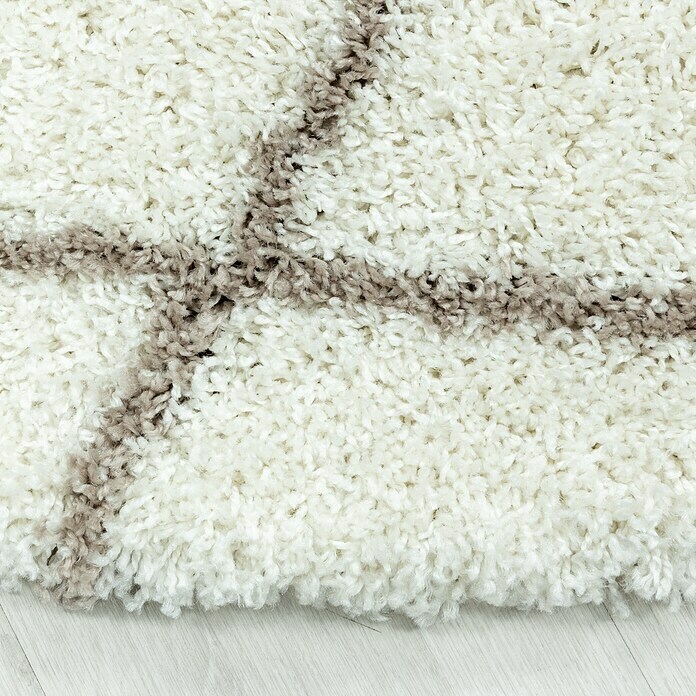 Hochflorteppich Alvor 3401 (Cream, 370 x 280 cm, 100 % Polypropylen) | BAUHAUS