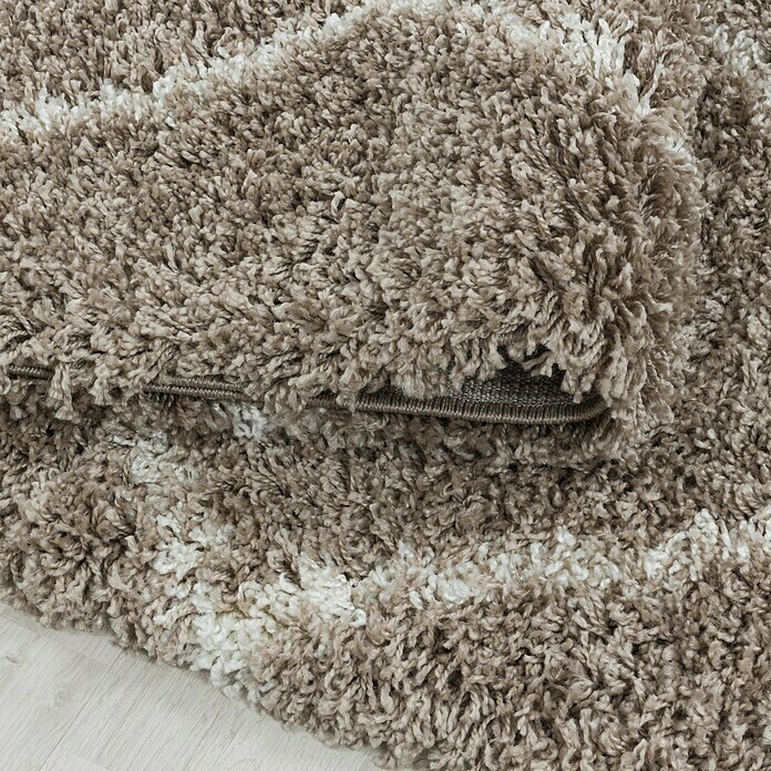 Hochflorteppich Alvor 3401 (Beige, 340 x 240 cm, 100 % Polypropylen) | BAUHAUS