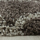 Hochflorteppich Alvor 3401 (Taupe, 250 x 80 cm, 100 % Polypropylen) | BAUHAUS