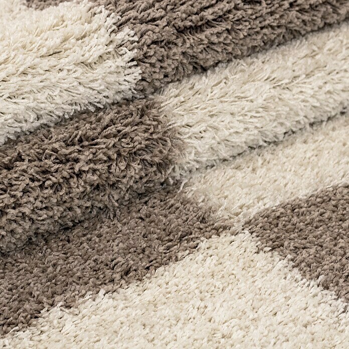 Hochflorteppich Gala 2505 (Beige, 340 x 240 cm, 100% Polypropylen) | BAUHAUS