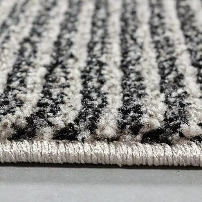 Kurzflorteppich Taznaxt 5104Schwarz, 250 x 80 cm, 100% Polyester