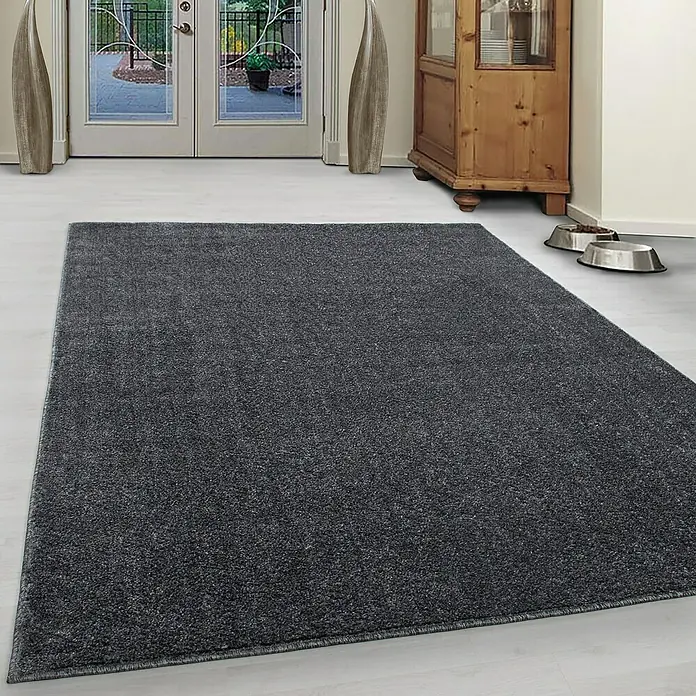 Kurzflorteppich Ata 7000Grau, 230 x 160 cm, 100 % Polypropylen - Ein grauer Teppich liegt auf einem hellen Holzboden vor einer Eingangstür und einem Holzschrank.