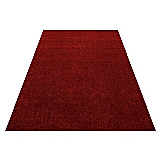 Kurzflorteppich Ata 7000 (Rot, 250 x 80 cm, 100% Polypropylen)
