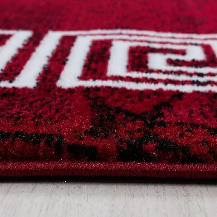 Kurzflorteppich Plus 8009 - Rot, 200 x 140 cm, 100 % Polypropylen - Detailaufnahme