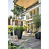 Lechuza Classico Pflanzkübel rund Color (Außenmaß (Ø x H): 70 x 64,5 cm, Kunststoff, Schiefergrau) | BAUHAUS