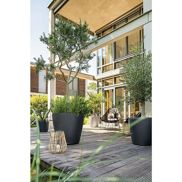 Lechuza Classico Pflanzkübel rund Color - Außenmaß (Ø x H): 70 x 64,5 cm, Kunststoff, Schiefergrau - Stilvolle Pflanzgefäße aus robustem Material zieren eine moderne Terrasse. Ideal für Olivenbäume und andere Pflanzen.