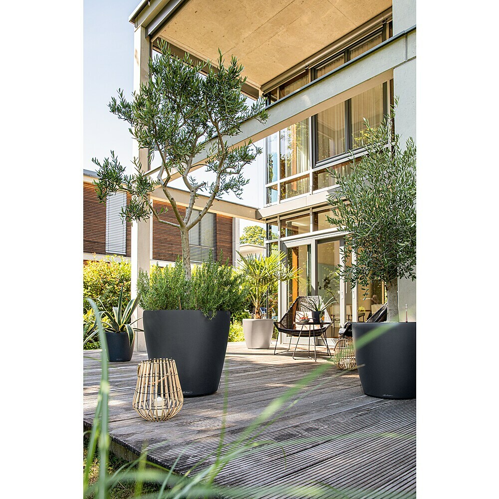 Lechuza Classico Color 43, Sandbraun, All In One Set, 42 Cm, H: 39,5 Cm - Foto 7