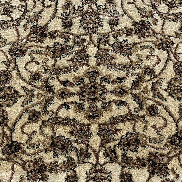 Kurzflorteppich Kashmir 2604 (Cream, 170 x 120 cm, 100% Polypropylen) | BAUHAUS