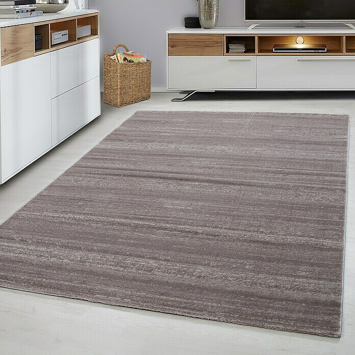 Kurzflorteppich Plus 8000 (Beige, 340 x 240 cm, 100 % Polypropylen) | BAUHAUS