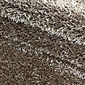 Hochflorteppich Brilliant 4200 (Taupe, 250 x 80 cm, 100% Polyester) | BAUHAUS