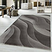 Kurzflorteppich Costa 3523 (Braun, 200 x 140 cm, 100% Polypropylen) | BAUHAUS