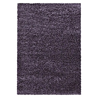 Hochflorteppich Sydney 3000 (Violett, 340 x 240 cm, 100% Polypropylen)
