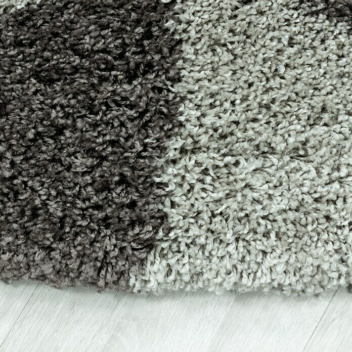 Hochflorteppich Tango 3101 (Taupe, 170 x 120 cm, 100 % Polypropylen) | BAUHAUS