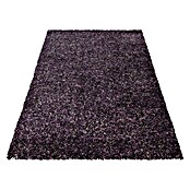 Hochflorteppich Enjoy 4500 (Lila, 170 x 120 cm, 100 % Polypropylen) | BAUHAUS