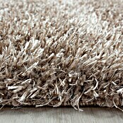 Hochflorteppich Brilliant 4200 (Taupe, 230 x 160 cm, 100% Polyester) | BAUHAUS