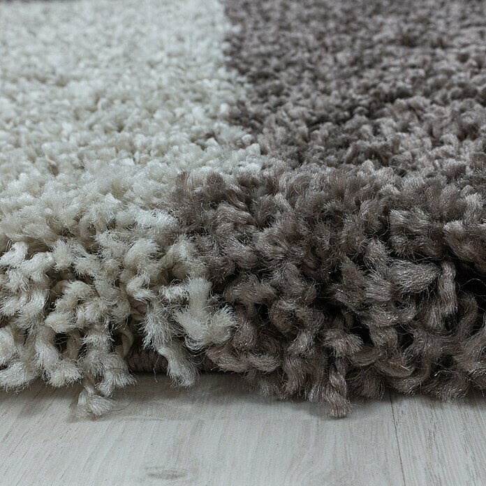 Hochflorteppich Tango 3101 (Taupe, 370 x 280 cm, 100% Polypropylen) | BAUHAUS