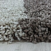 Hochflorteppich Tango 3101 (Taupe, 340 x 240 cm, 100% Polypropylen) | BAUHAUS