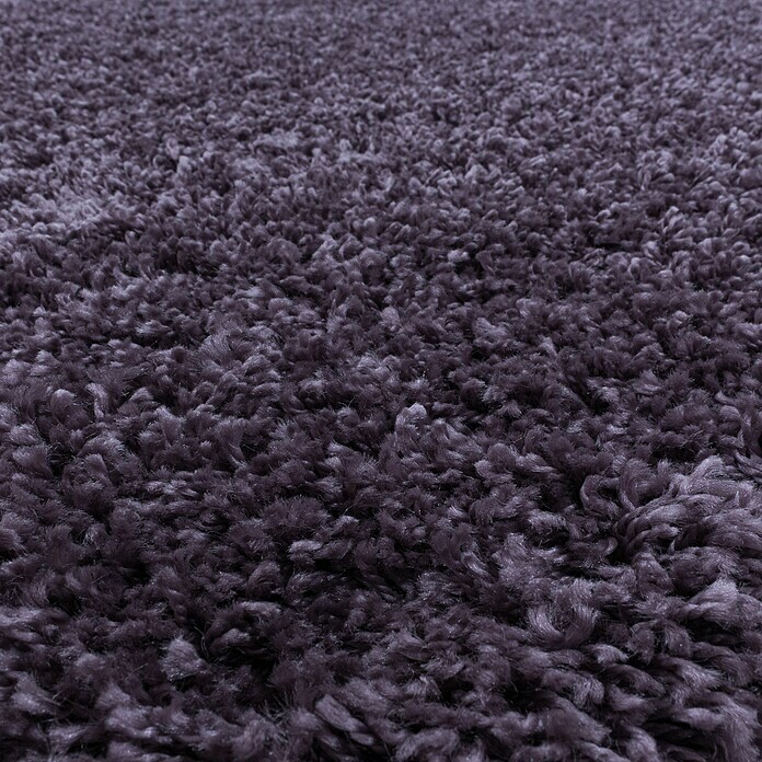 Hochflorteppich Sydney 3000 (Violett, 400 x 300 cm, 100% Polypropylen) | BAUHAUS