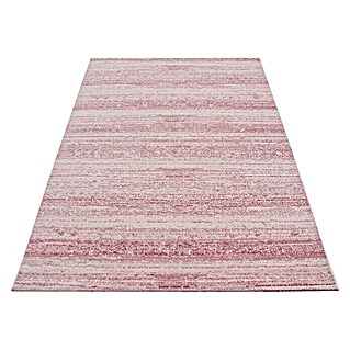 Kurzflorteppich Plus 8000 (Pink, 170 x 120 cm, 100% Polypropylen)