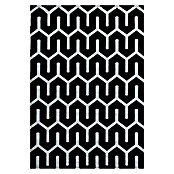 Kurzflorteppich Costa 3524 (Schwarz, 340 x 240 cm, 100 % Polypropylen) | BAUHAUS