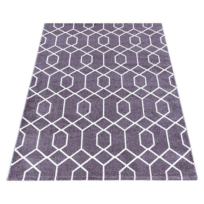 Kurzflorteppich Efor 3713 (Violett, 340 x 240 cm, 100 % Polypropylen) | BAUHAUS