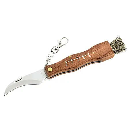 Herbertz  Pilzmesser mit Bürste