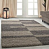 Hochflorteppich Gala 2505 (Taupe, 170 x 120 cm, 100 % Polypropylen) | BAUHAUS