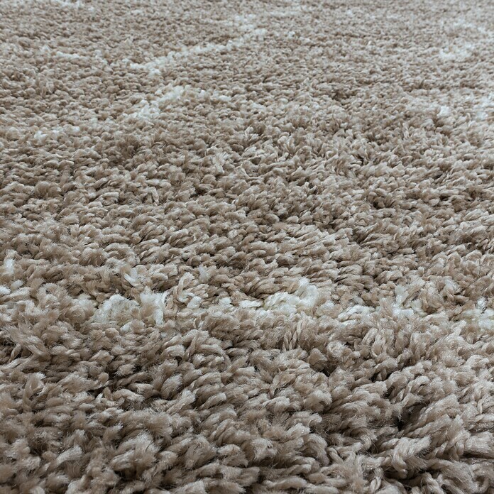 Hochflorteppich Salsa 3201 (Beige, 340 x 240 cm, 100% Polypropylen) | BAUHAUS