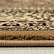 Kurzflorteppich Orient-Optik Marrakesh 0207 (Beige, 170 x 120 cm, 100 % Polypropylen) | BAUHAUS