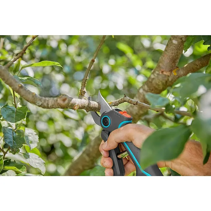 Gardena Akku-Strauchschere AssistCut - L x B x H: 270 x 70 x 30 mm, Max. Aststärke: 25 mm - Nahaufnahme einer Person, die mit einer Gartenschere einen Ast beschneidet. Die Gartenschere hat eine graue Klinge und einen blauen Griff.