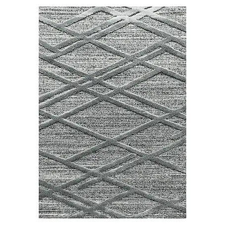 Hochflorteppich Pisa 4706