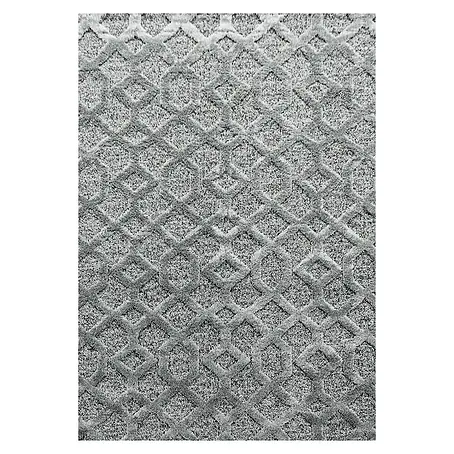Hochflorteppich Pisa 4702