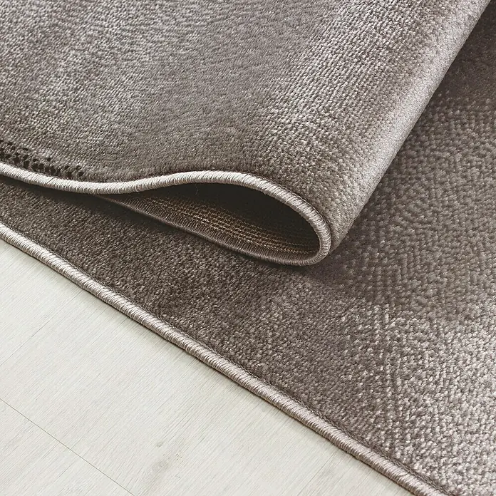Kurzflorteppich Plus 8008 - Braun, 230 x 160 cm, 100 % Polypropylen - Nahaufnahme eines eleganten, beigefarbenen Teppichs mit gewebter Textur und sauberer Umrandung, der auf einem hellen Holzboden liegt.