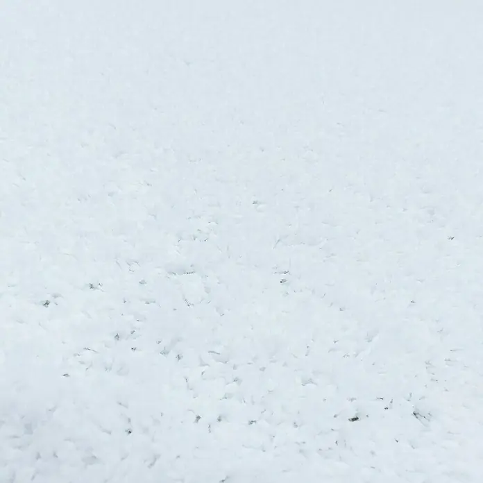 Hochflorteppich Sydney 3000 - Weiß, 150 x 80 cm, 100 % Polypropylen - Nahaufnahme einer Oberfläche mit einer Textur aus kleinen, weißen, flockenartigen Elementen, die wie Schnee oder zerknittertes Papier aussehen.