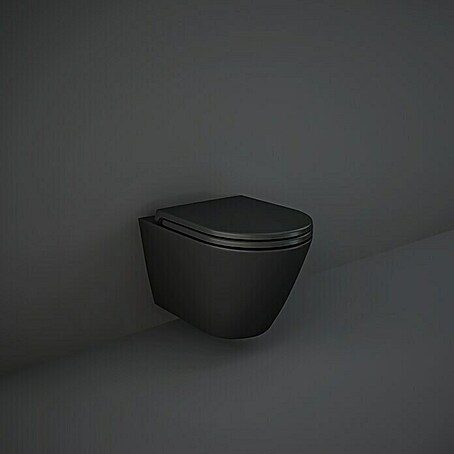 RAK Ceramics Feeling Wand-WC (Spülrandlos, Ohne Spezialglasur, Spülform: Tief, WC Abgang: Waagerecht, Schwarz, Matt)