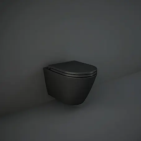 RAK Ceramics Feeling Wand-WC-Set
