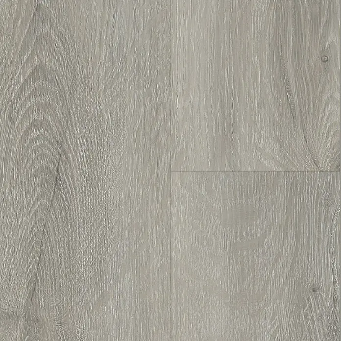 Vinylboden Strong SPC Structure - Carolina, Landhausdiele, 1.220 x 228 x 3,8 mm - Nahaufnahme eines Paneels aus hellgrauem Laminatboden mit Maserung, ideal für modernes Wohndesign.