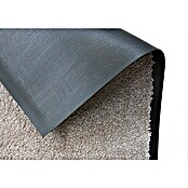 Astra Miami Felpudo antideslizante (Taupe, 100 x 67 cm)