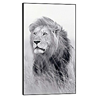 Bild Framed Canvas Look (Field Lion, B x H: 70 x 118 cm)