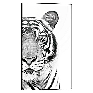 Bild Framed Canvas Look (White Tiger)