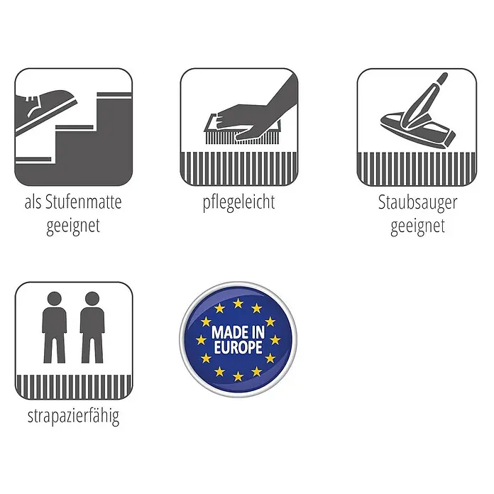 Astra Stufenmatte Camp - 28 x 65 cm, 100 % Polypropylen, Silber - Symbole für eine Stufenmatte, pflegeleicht, staubsaugergeeignet, strapazierfähig und "Made in Europe".