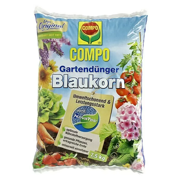 chinesische hanfpalme dünger Chinesische Hanfpalme Trachycarpus fortunei – Blumen-Senf® main image 1