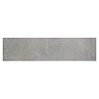 Art-Tec by Palazzo Stufen- & Abdeckplatte (30 x 120 cm, Steel, Matt)