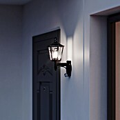 Steinel Außenwandleuchte L 15 schwarz (60 W, 24,3 x 18,8 x 40,4 cm, Schwarz, IP44) | BAUHAUS