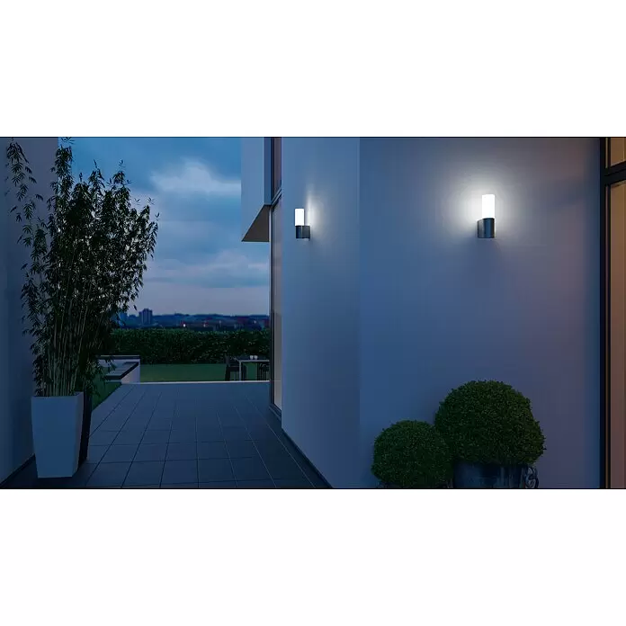 Steinel LED-Außenwandleuchte L 605 anthrazit - 11,3 W, 13,1 x 7,8 x 26 cm, Anthrazit, IP44 - Zwei moderne zylindrische Außenwandleuchten mit dunklen Metallsockeln und weißen Diffusoren beleuchten eine Gebäudewand bei Dämmerung.