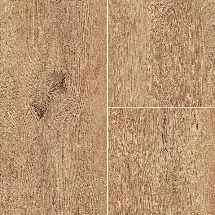 Atlas Concorde Solution Fable Feinsteinzeugfliese Honey - 22,5 x 90 cm, Braun, Matt - Detailaufnahme